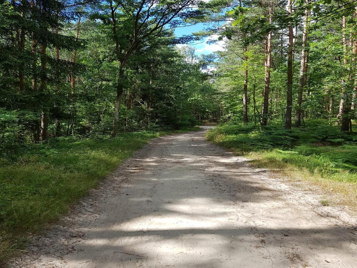 Aparthotel Gdanska14 Krynica Morska Buitenkant foto